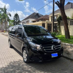 2020 Upgraded Mercedes Viano Bus