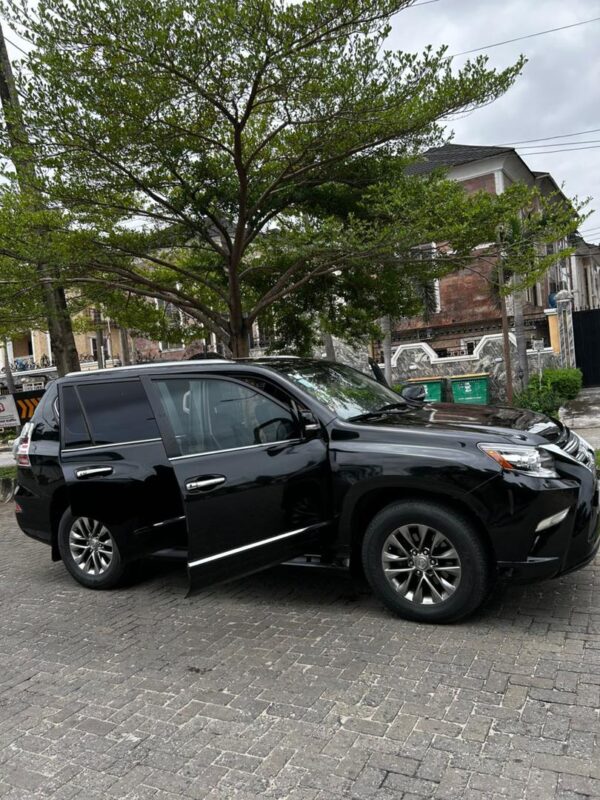 2014 Lexus GX460 - Image 3