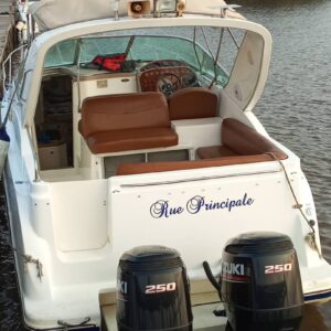 15 Seater Cruise Boat